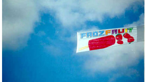 FrozFruit Banner
